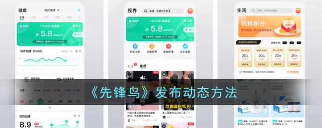 先锋鸟怎么发布动态