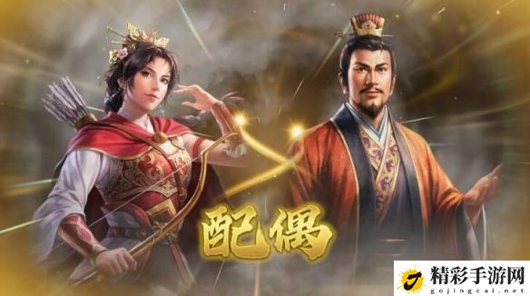 三国志8重制版结婚后孩子怎么生 社交系统互动攻略详解