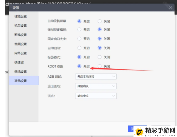 苍翼混沌效应存档怎么导入 善于利用技能特效增加视觉享受